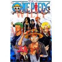 One Piece 8